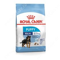 Royal Canin Maxi Junior, 15 кг