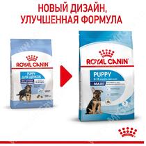 Royal Canin Maxi Junior