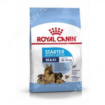 Royal Canin Maxi Starter