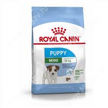 Royal Canin Mini Junior