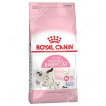 Royal Canin Mother and Babycat, 4 кг