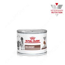 Royal Canin Recovery