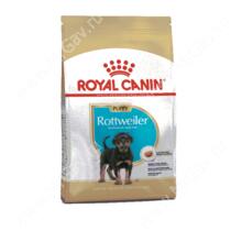 Royal Canin Rottweiler Junior