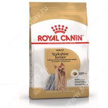 Royal Canin Yorkshire Terrier