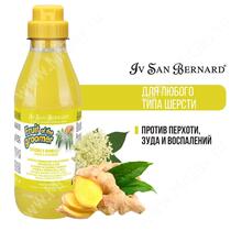 Шампунь Iv San Bernard Fruit of the Groomer Ginger&Elderbery