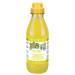 Шампунь Iv San Bernard Fruit of the Groomer Ginger&Elderbery